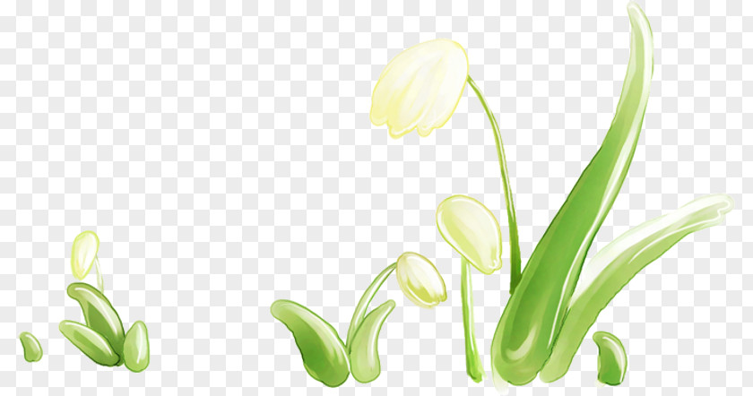 Kwiaty Wiosenne Chomikuj.pl Flower Plant Stem Desktop Wallpaper Flora PNG
