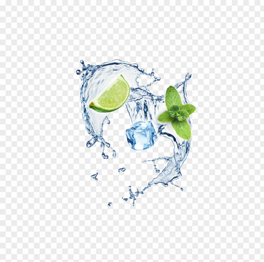 Mint Leaves And Ice Cubes Mojito Cocktail Lemon PNG