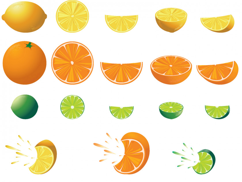 Pictures Of Citrus Fruits Lemon Fruit Tree Clip Art PNG