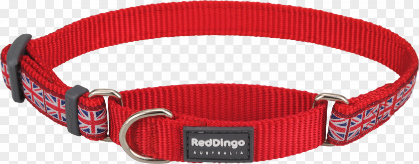 Red Collar Dog Dingo Martingale PNG
