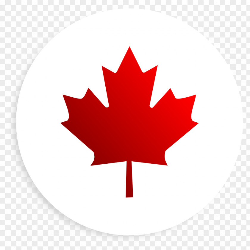 Canada Flag Of Maple Leaf Shutterstock PNG