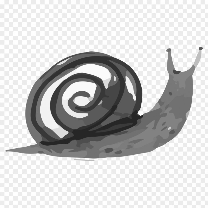 Escargots Watercolor Painting Ink Wash Vector Graphics Image Snail PNG