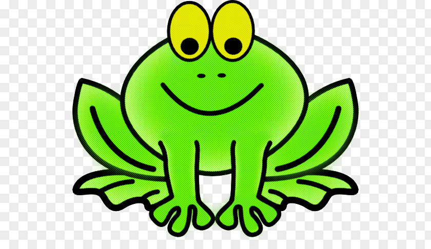 Frogs Coloring Book Drawing Tree Frog True Toad PNG