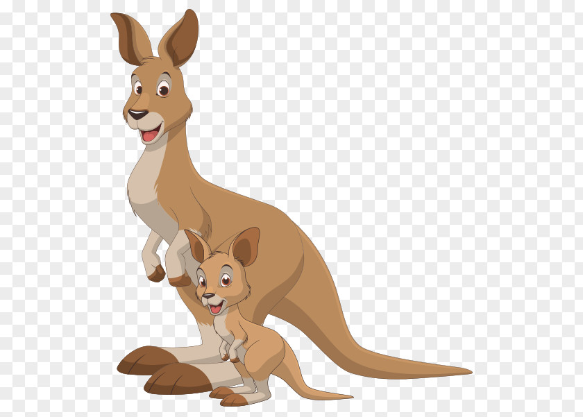 Kangaroo Baby Vector Graphics Clip Art Illustration PNG