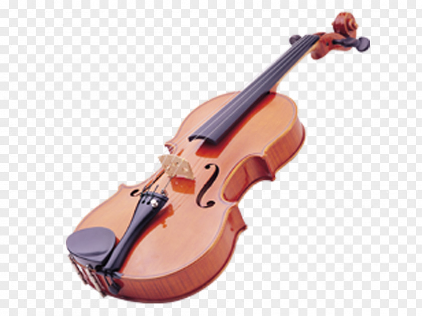 Play The Violin String Double Bass Musical Instrument Cello PNG