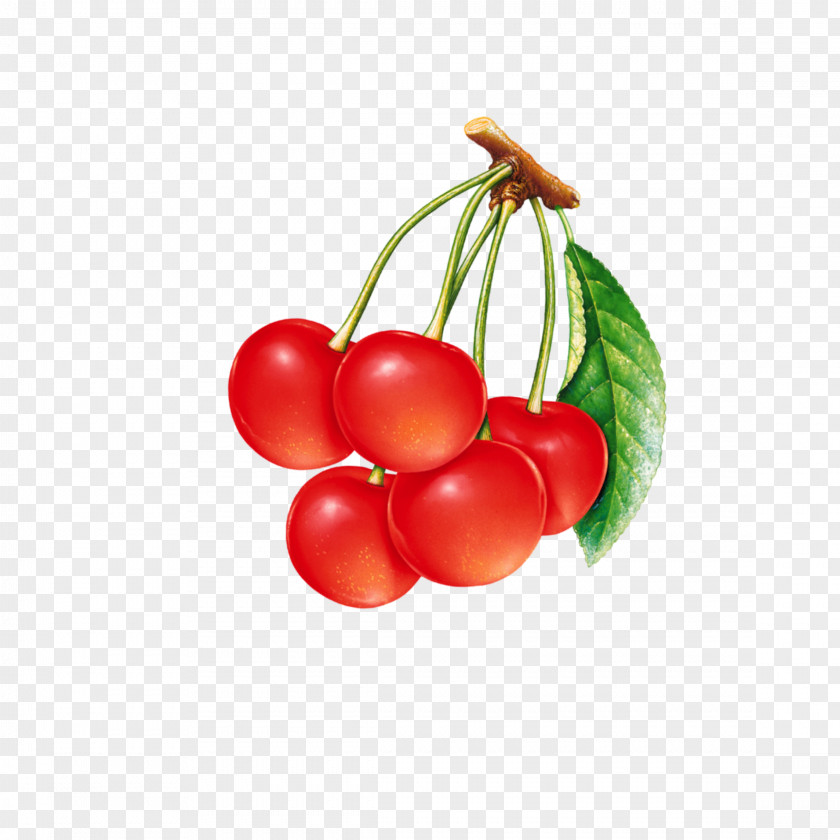 Red Cherry Flower Cherries Sour Jam Food Clip Art PNG