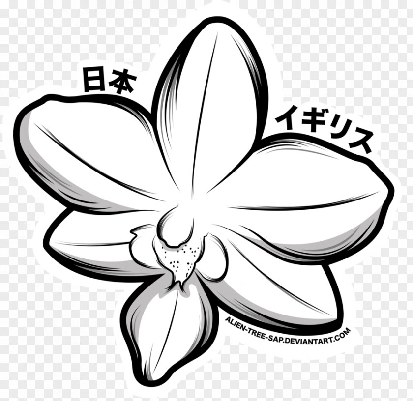 Design Cut Flowers White Line Art Clip PNG