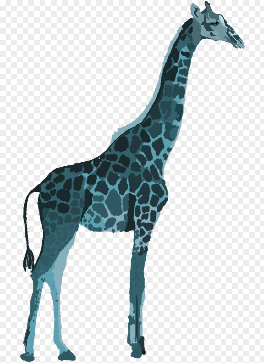 Giraffe Giraffidae Animal Figure Wildlife Snout PNG