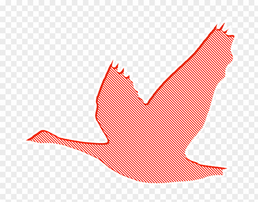 Goose Icon Birds Silhouette Bird PNG