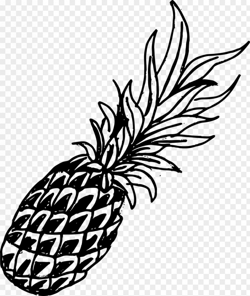 Pineapple Clip Art Drawing Image Watercolor Painting PNG