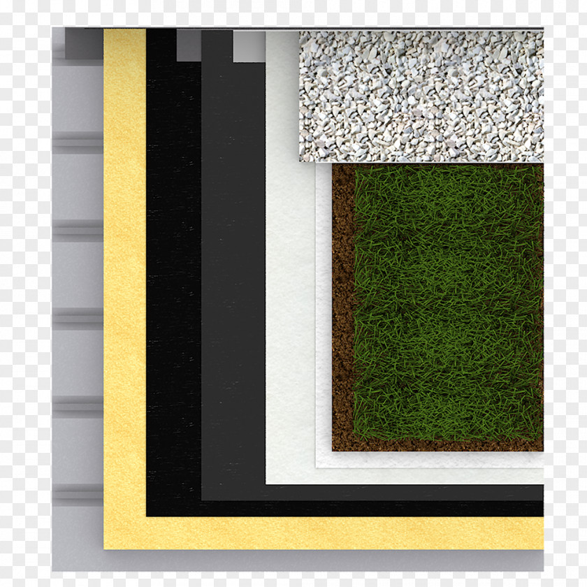 Window Rectangle PNG