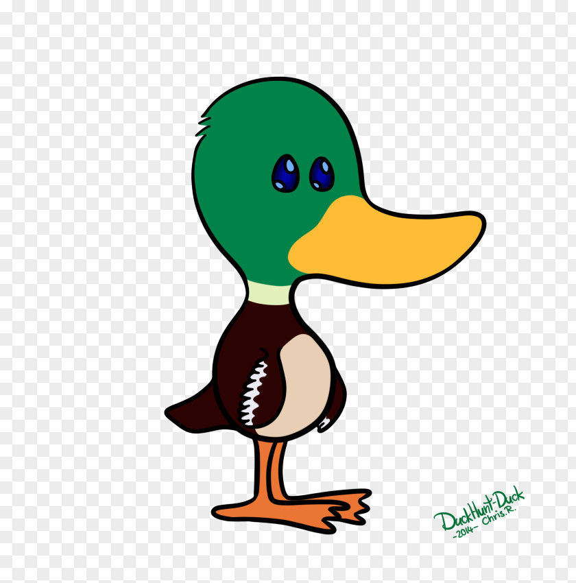 Duck Goose Cygnini Beak Clip Art PNG