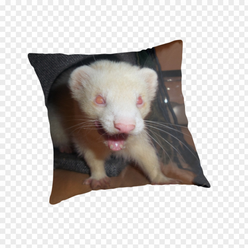 Ferret Rat Cushion Throw Pillows PNG