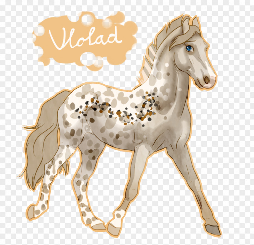 Lemon Splash Painting Mustang Foal Stallion Halter M4 Carbine PNG