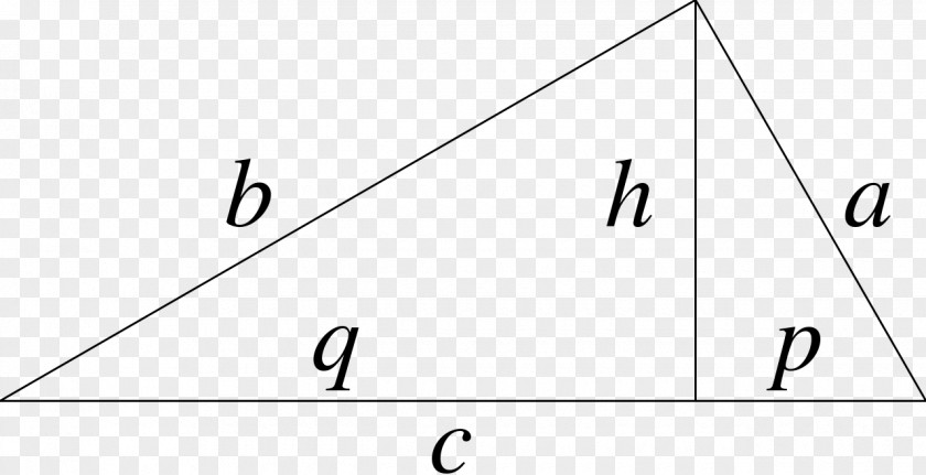 Right Triangle Point Area PNG