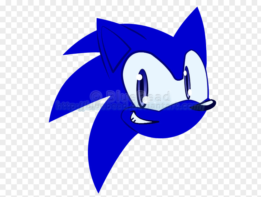 Sonic Hedgehog Outline The Adventure Vector Crocodile Shadow Summer Of PNG