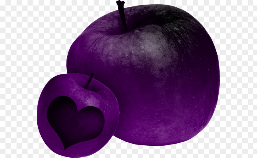 Apple Color Purple PNG