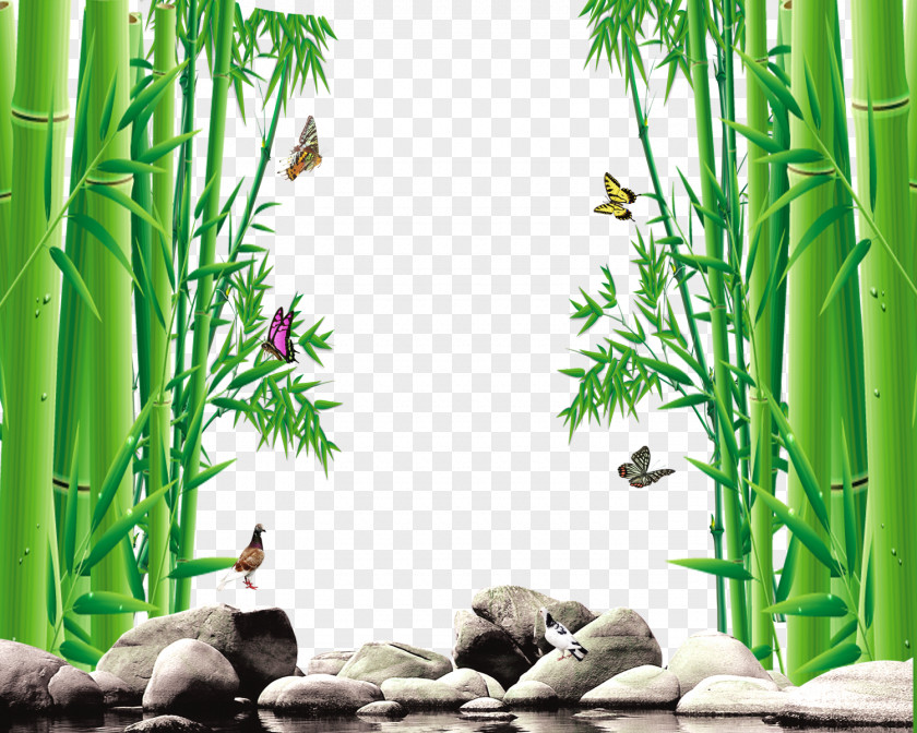 Bamboo Stone Butterfly Giant Panda Wallpaper PNG
