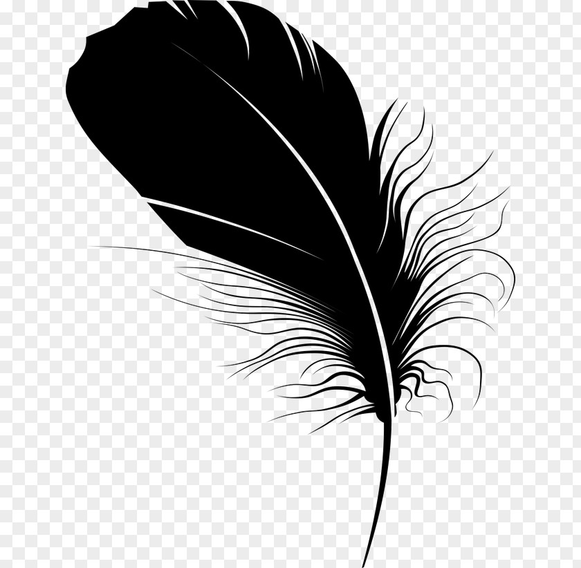 Black Feather Quill Pen PNG