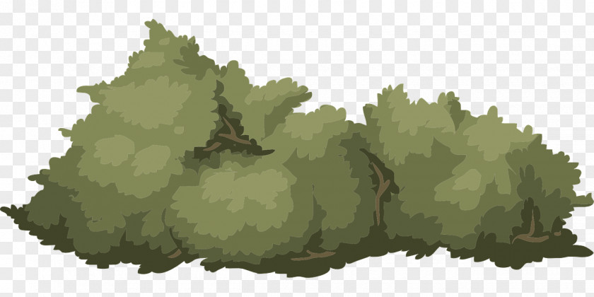 Bushes Shrub Clip Art PNG