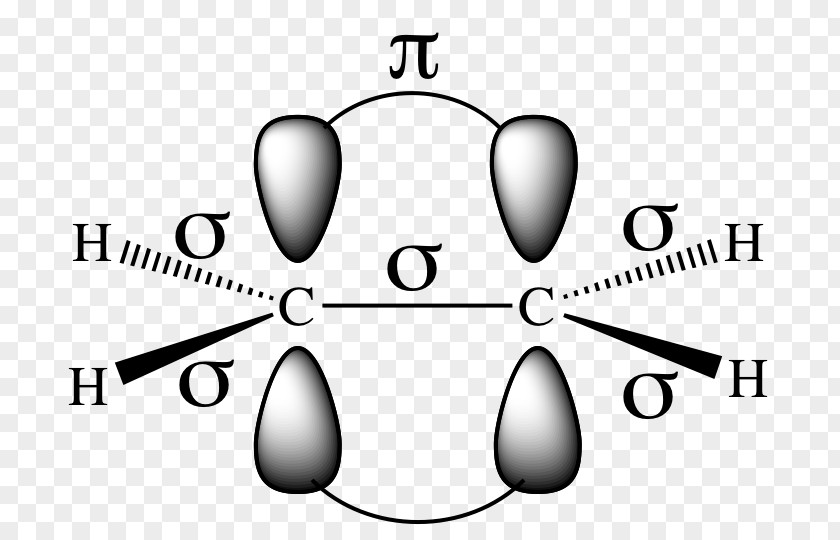 Sea Anemone Valence Bond Theory Eye Brand Design PNG