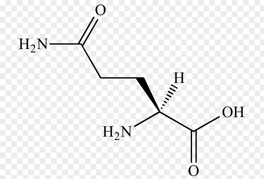 Selenocysteine Amino Acid Amine Zwitterion Proline PNG