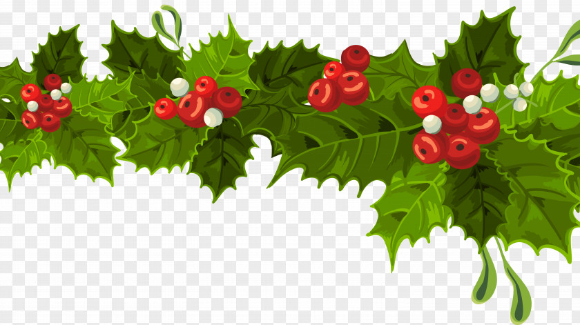 Christmas Decorating Cliparts Common Holly Decoration Mistletoe Clip Art PNG