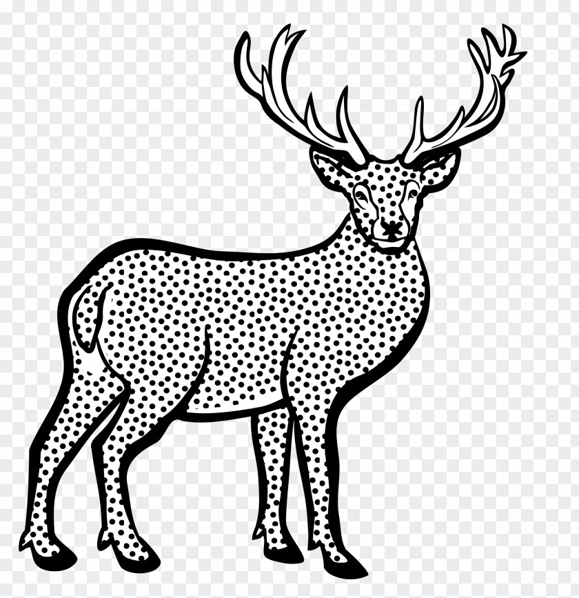 Deer White-tailed Line Art Antelope Clip PNG