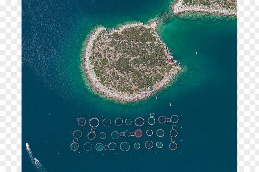 Fish Farm Farming Aerial Photography Photographer PNG