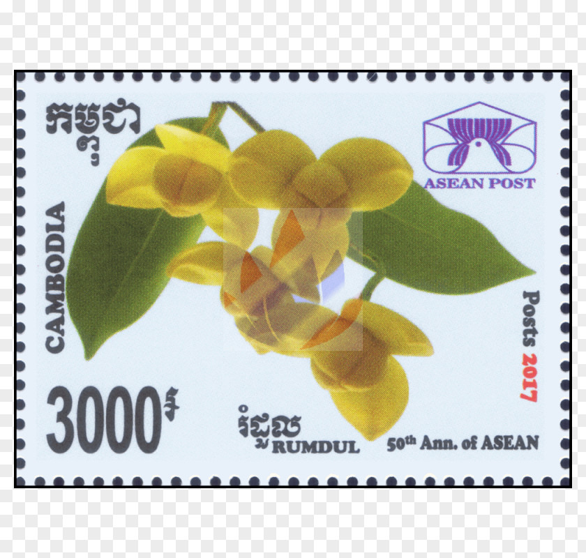 Flower National Symbols Of Cambodia Rumduol Postage Stamps PNG