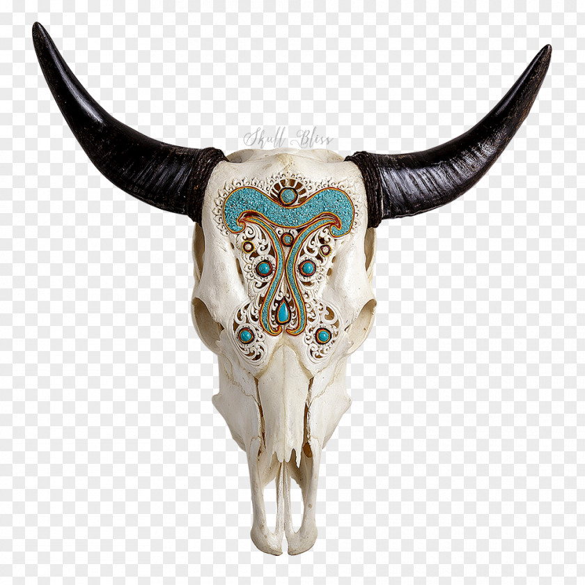 Skull Texas Longhorn Charolais Cattle Bull PNG