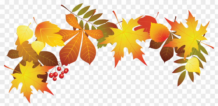 Transparent Autumn Leaves Decoration Clipart Image Leaf Color Clip Art PNG