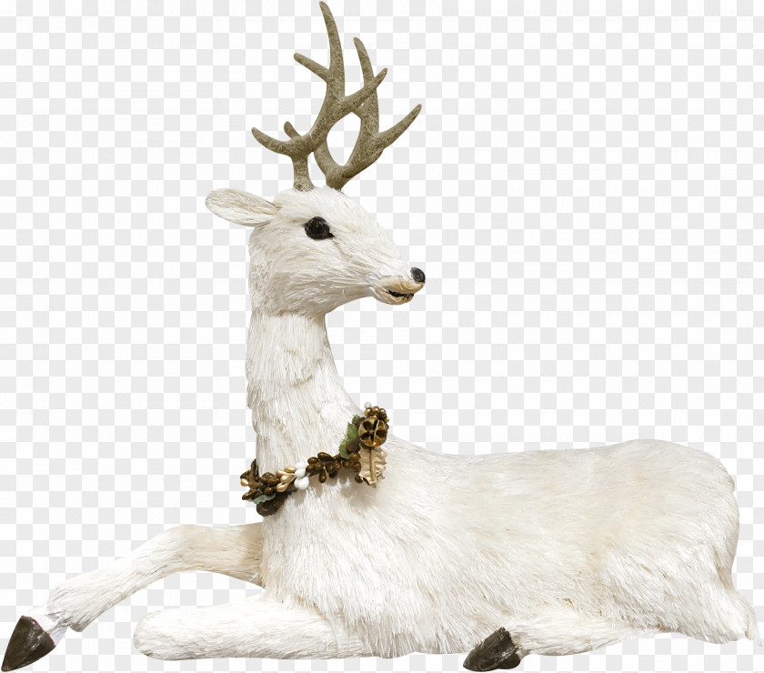 White Cute Goat Reindeer Elk PNG