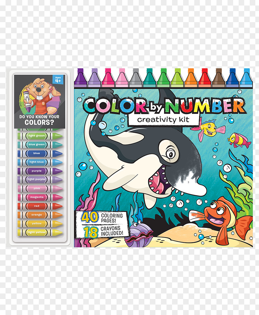 Book Coloring Activity Page Creativity PNG