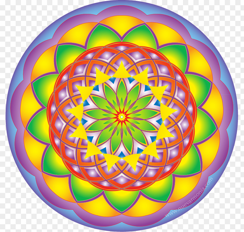 Circle Geometry Mandala Symmetry Kaleidoscope PNG