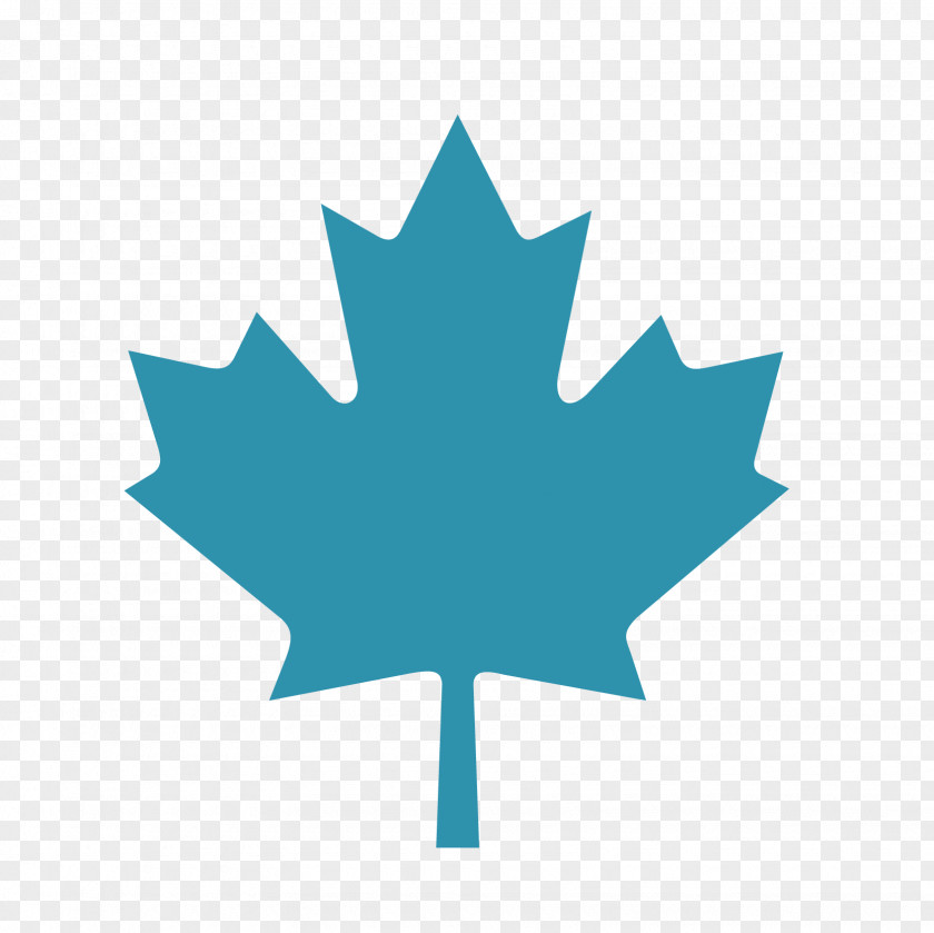 Leaves Vector Flag Of Canada Maple Leaf PNG