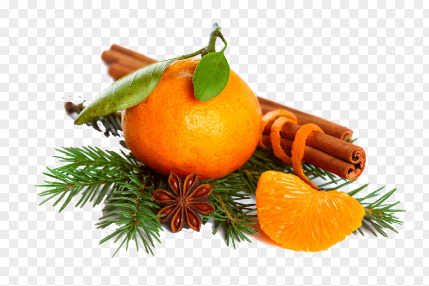 Orange Holiday Essential Oil Food New Year PNG