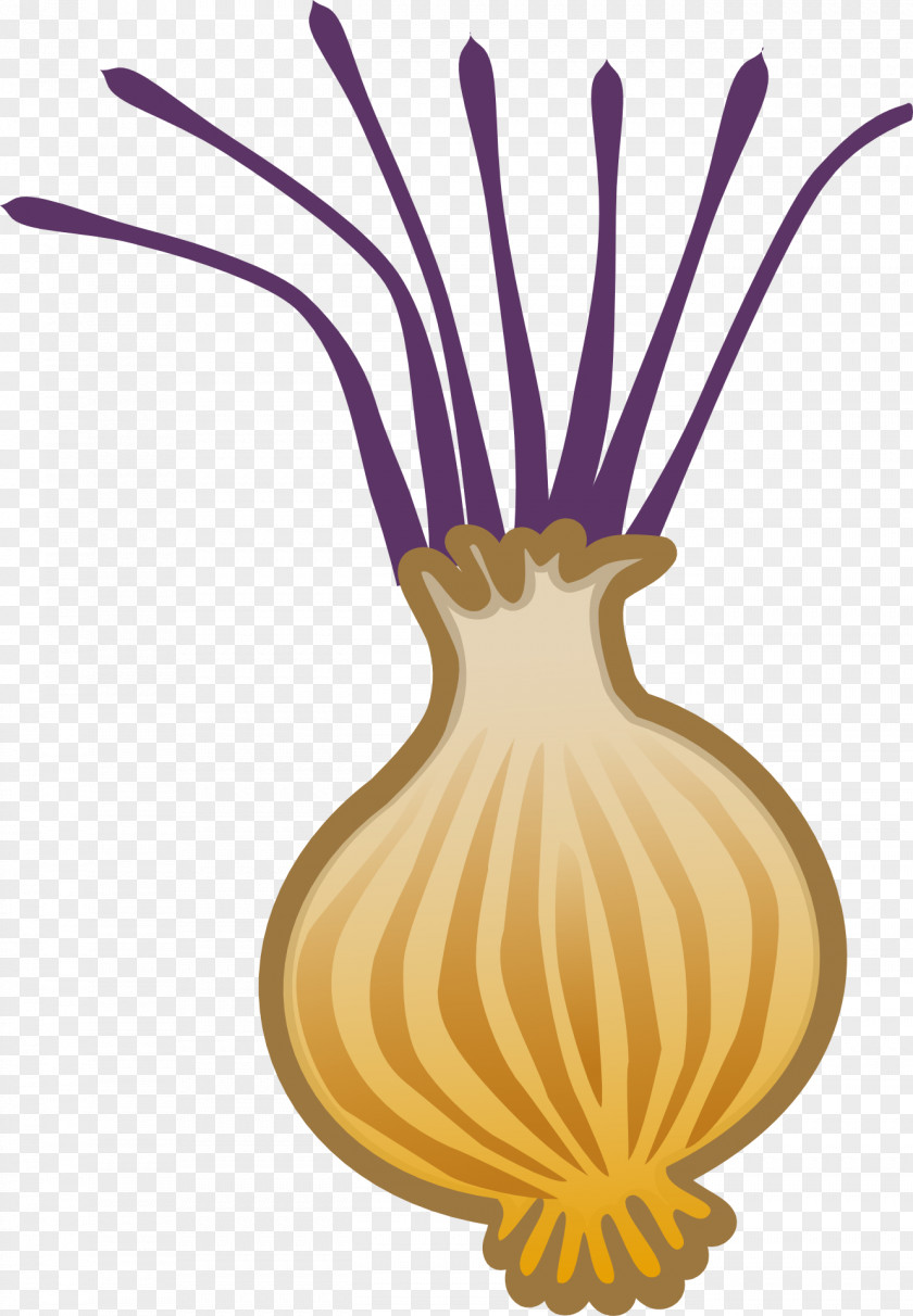Personalized Garlic Vegetable Free Content Clip Art PNG