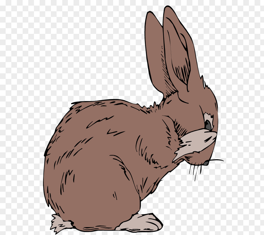 Rabit Arctic Hare Domestic Rabbit The Velveteen Animal PNG