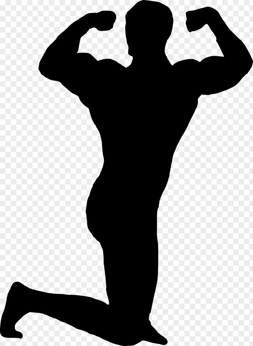 Bodybuilding Drawing Photography Clip Art PNG