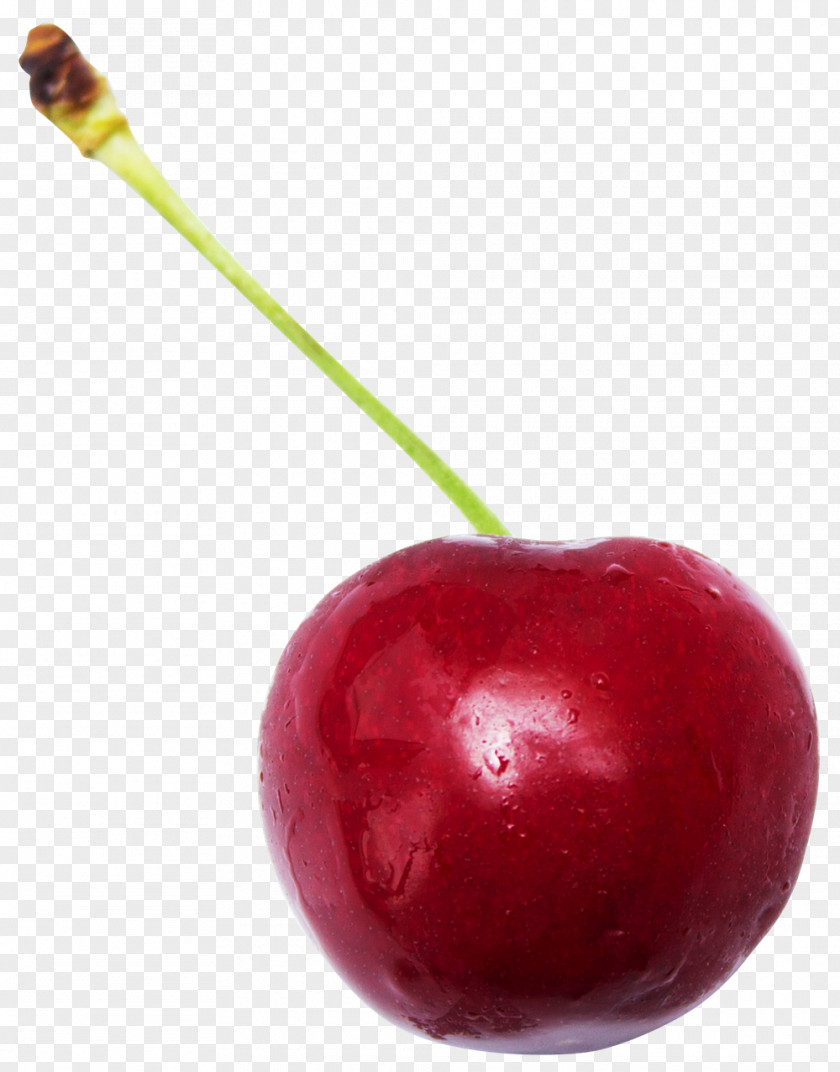 Cherry Sweet Sour Cerasus Fruit PNG