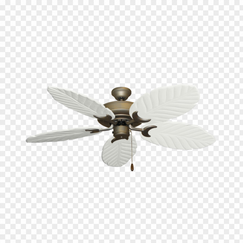 Fan Ceiling Fans Light Blade PNG