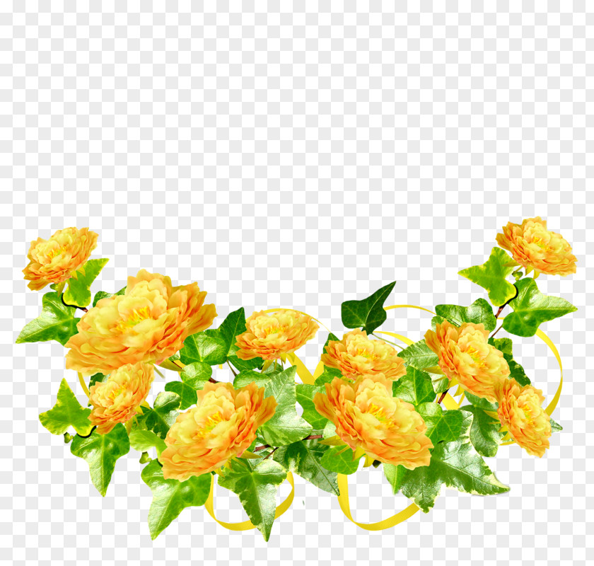 Flower Garden Roses Picture Frames Yellow PNG