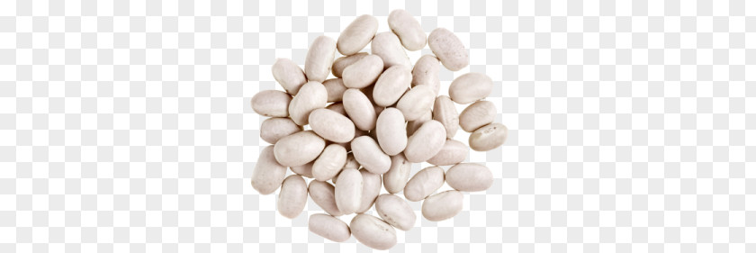 Kidney Beans PNG beans clipart PNG