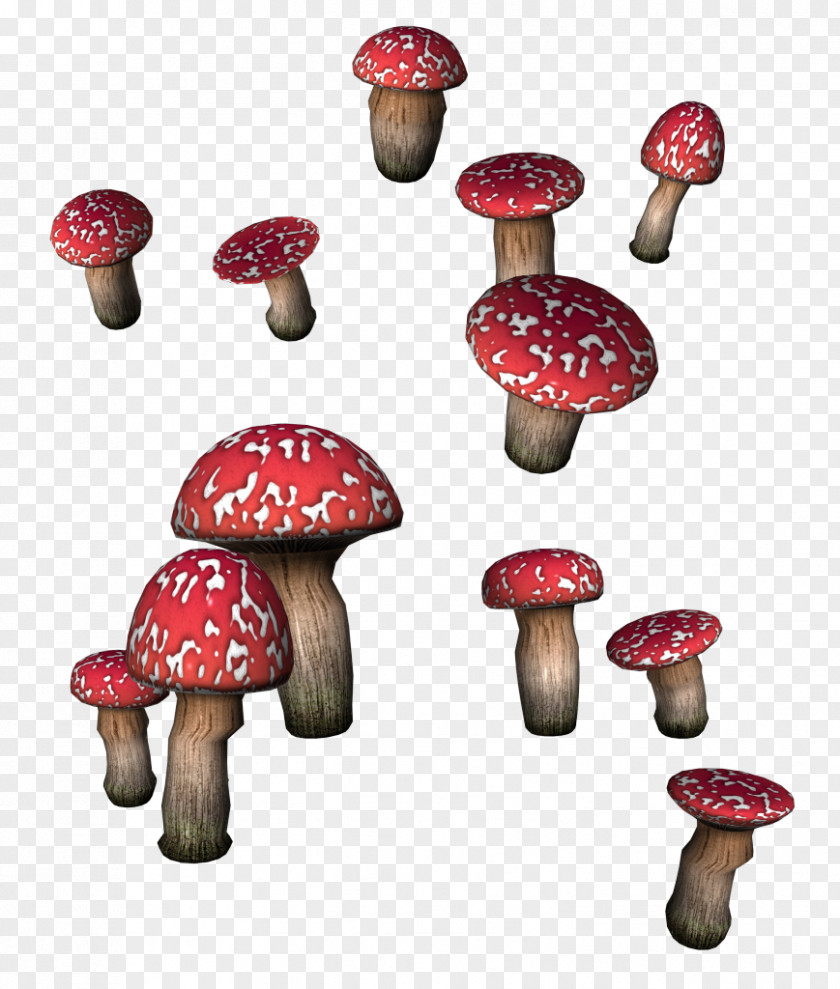 Mushroom Fungus Boletus Edulis Clip Art PNG