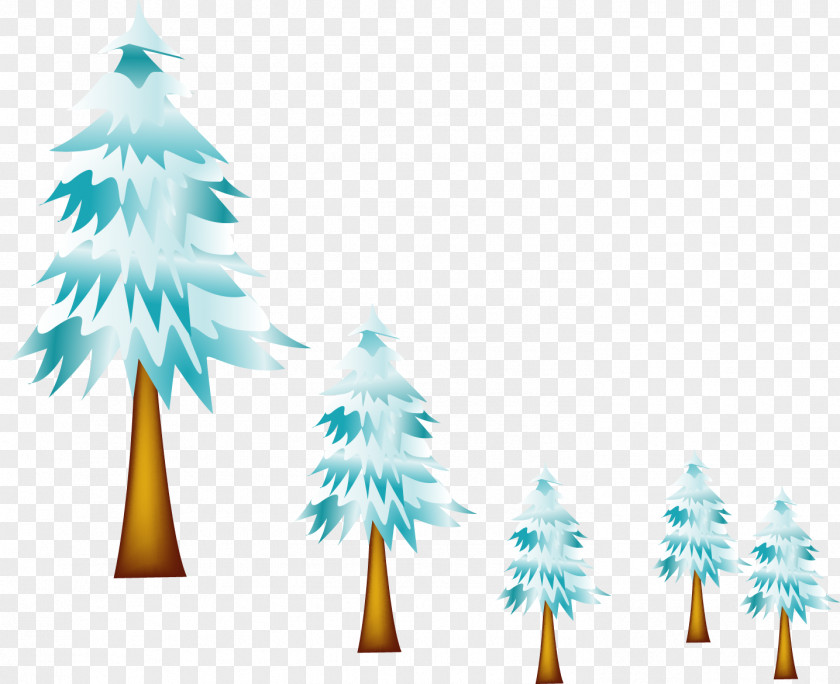 Vector Painted Pine Fir Spruce Hypothermia PNG