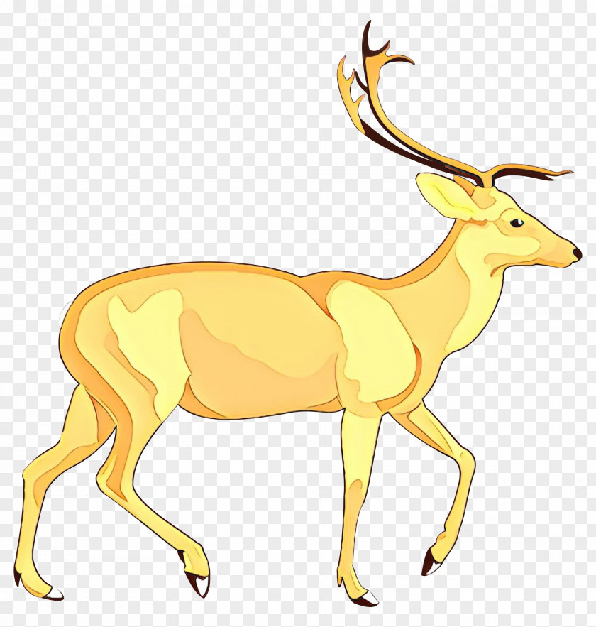 White-tailed Deer Clip Art Vector Graphics Pronghorn PNG