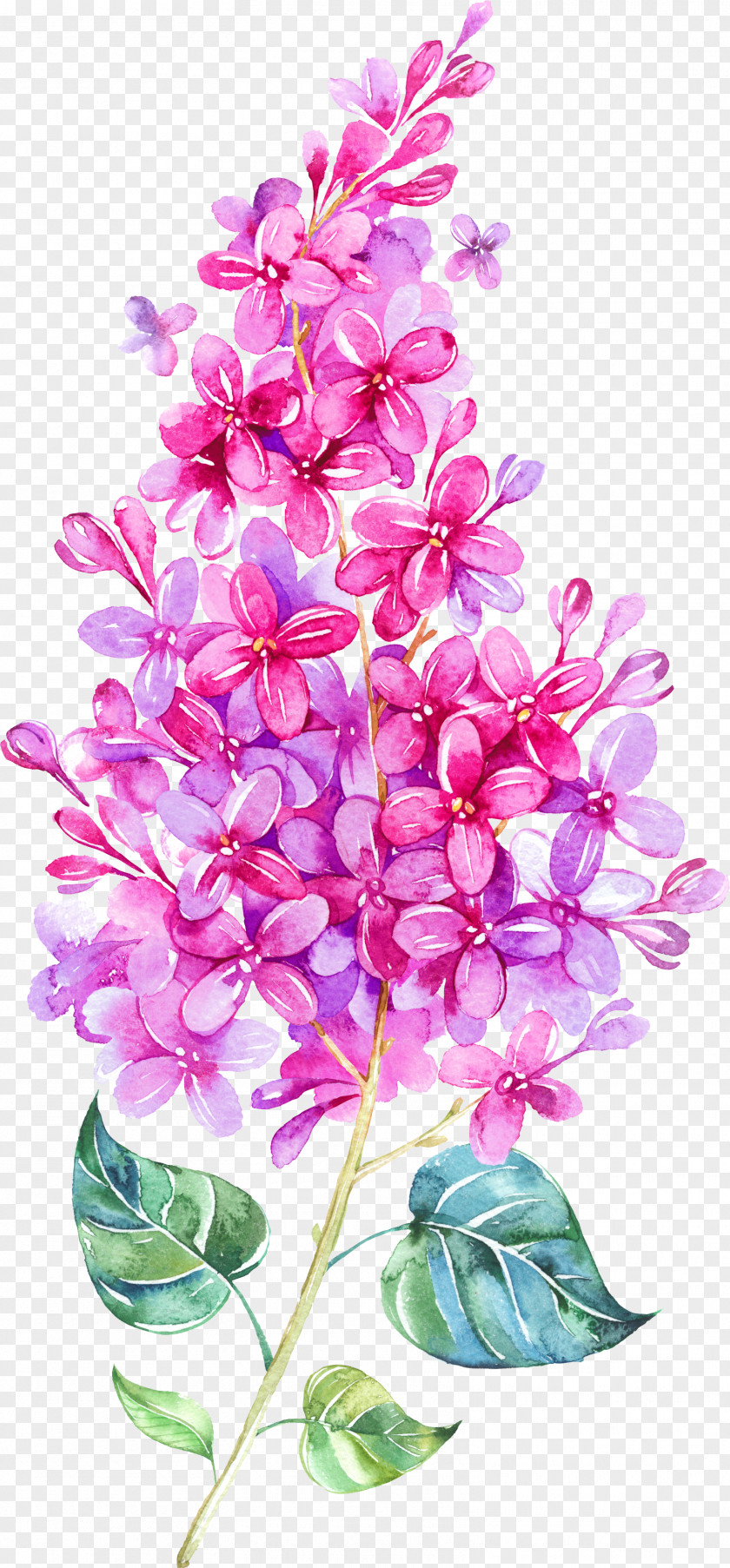 Floating Flower IPhone 6 Watercolor Painting Lilac Clip Art PNG