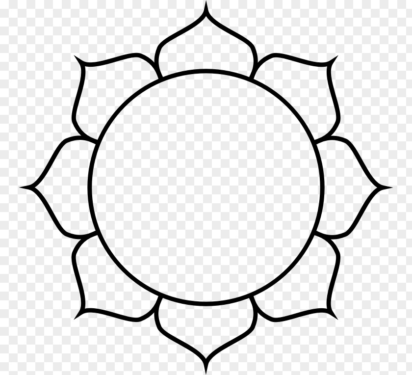 Flower Line Art Nelumbo Nucifera Drawing Clip PNG