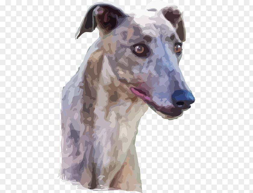 Realistic Animal Lurcher Spanish Greyhound Whippet Polish PNG